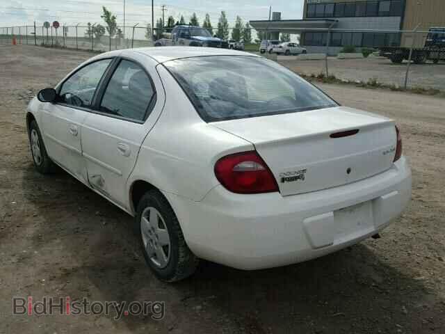 2005 DODGE NEON - VIN: 1B3ES46C55D228974 - Фото 3