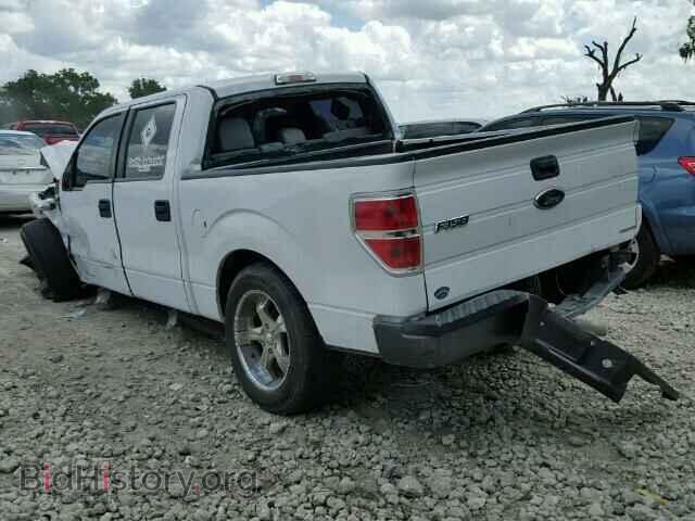 2013 FORD F150 - VIN: 1FTEW1CM2DFA99397 - Фото 3
