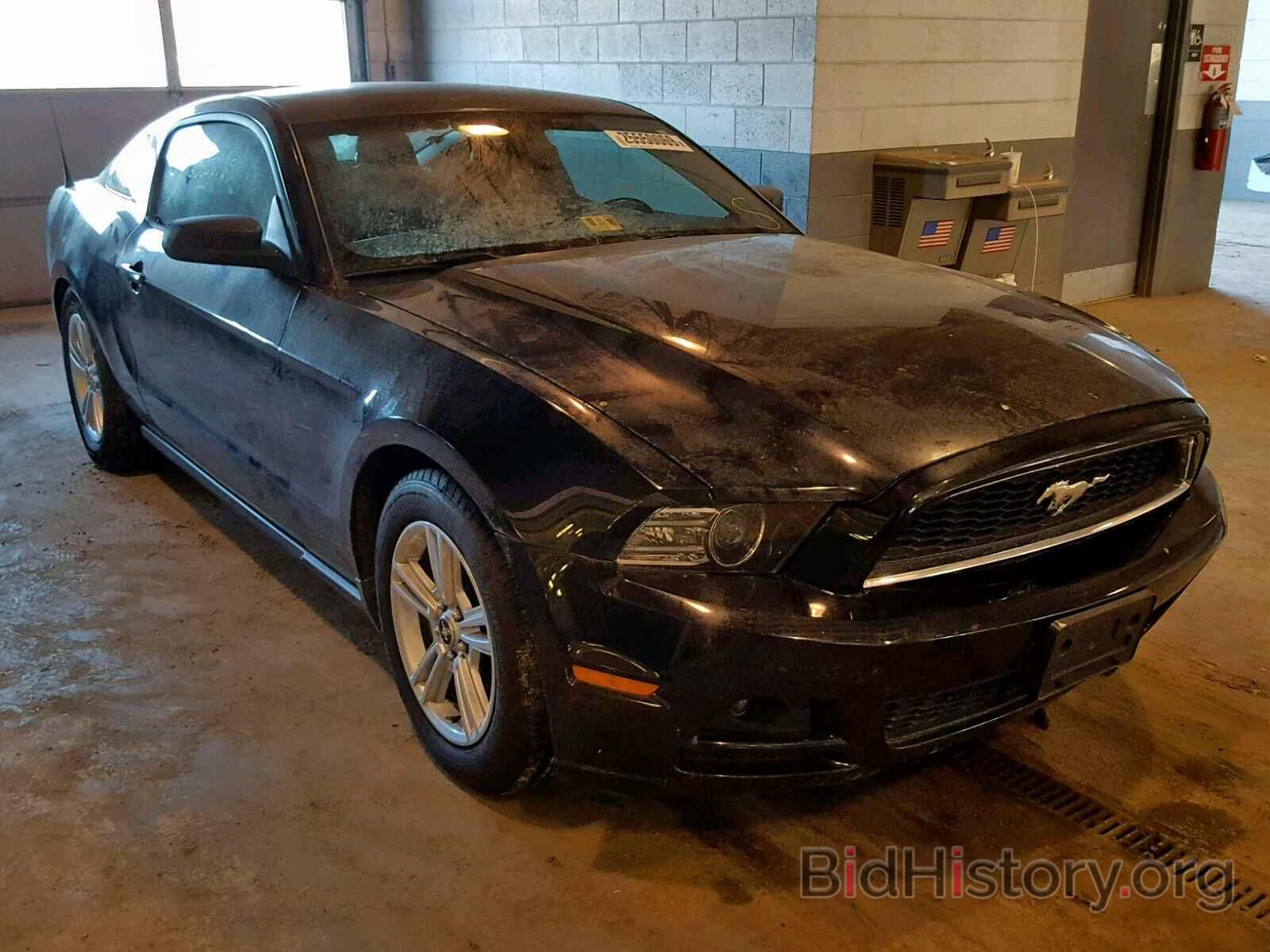 Photo 1ZVBP8AM0E5331320 - FORD MUSTANG 2014