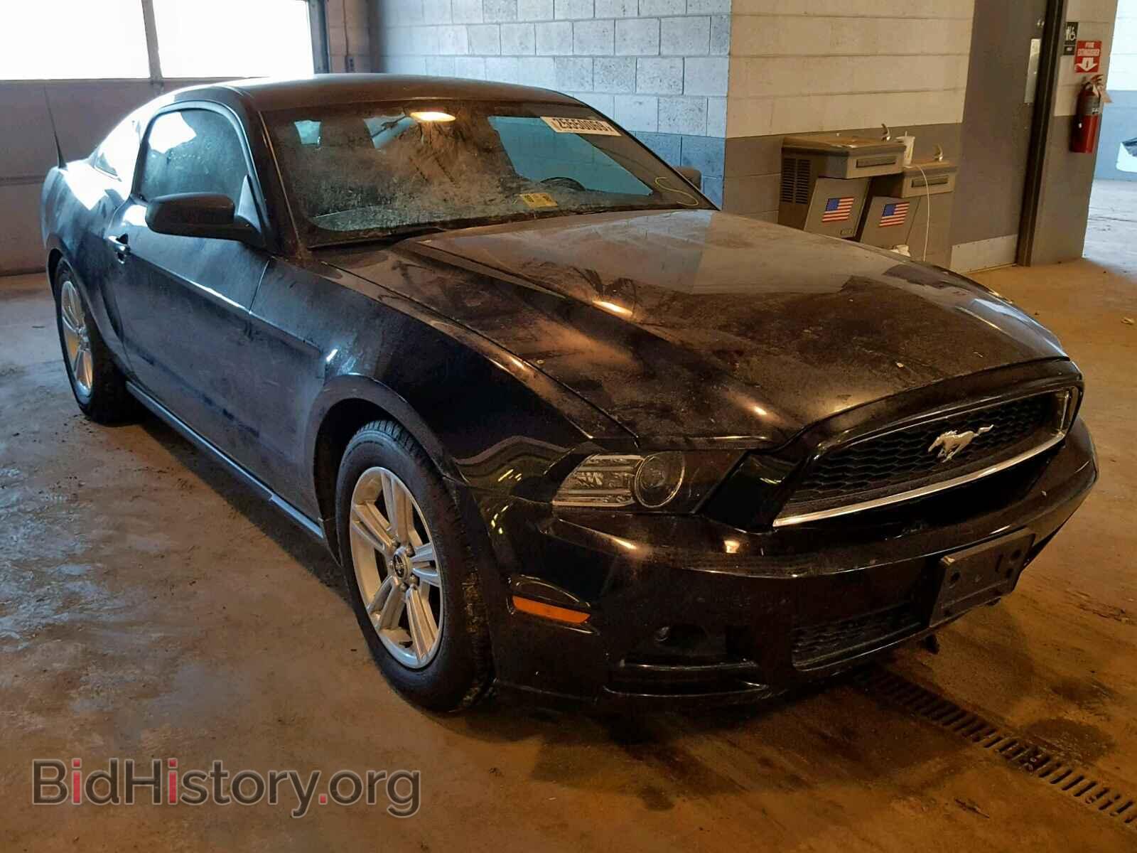 Photo 1ZVBP8AM0E5331320 - FORD MUSTANG 2014