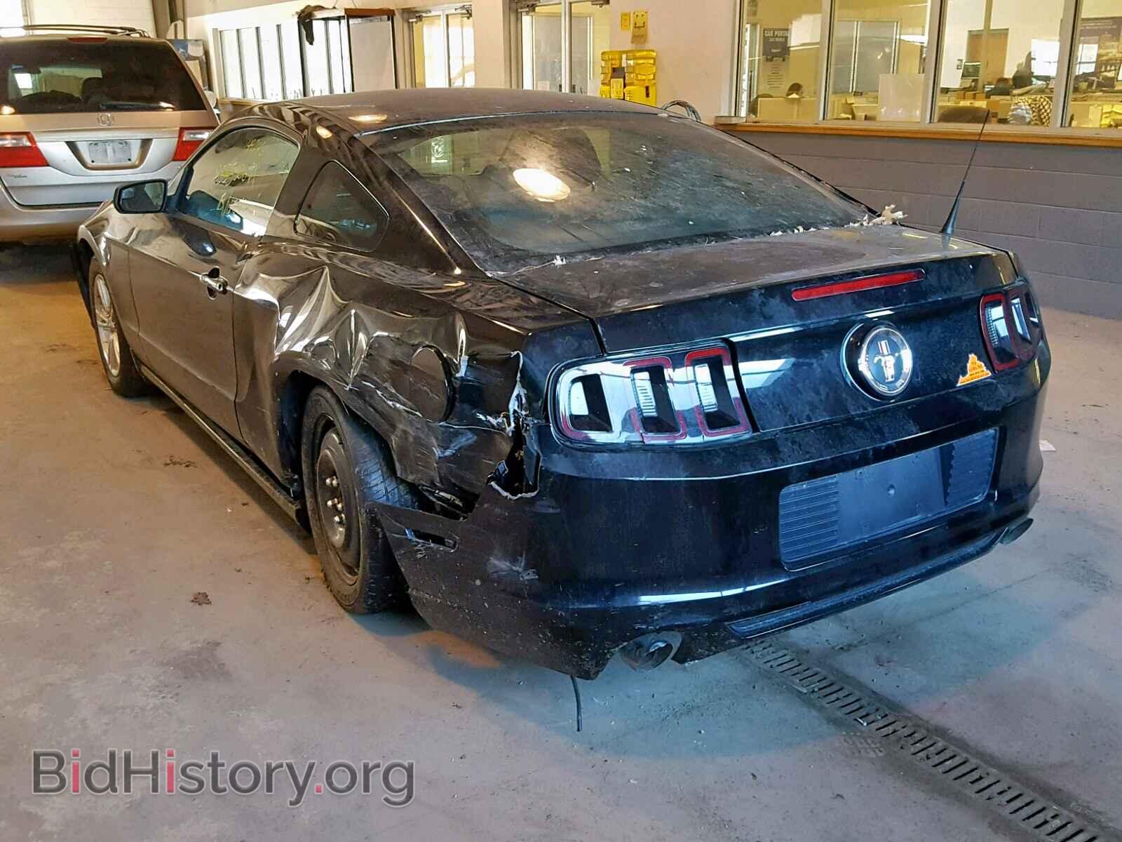 2014 FORD MUSTANG - VIN: 1ZVBP8AM0E5331320 - Фото 3