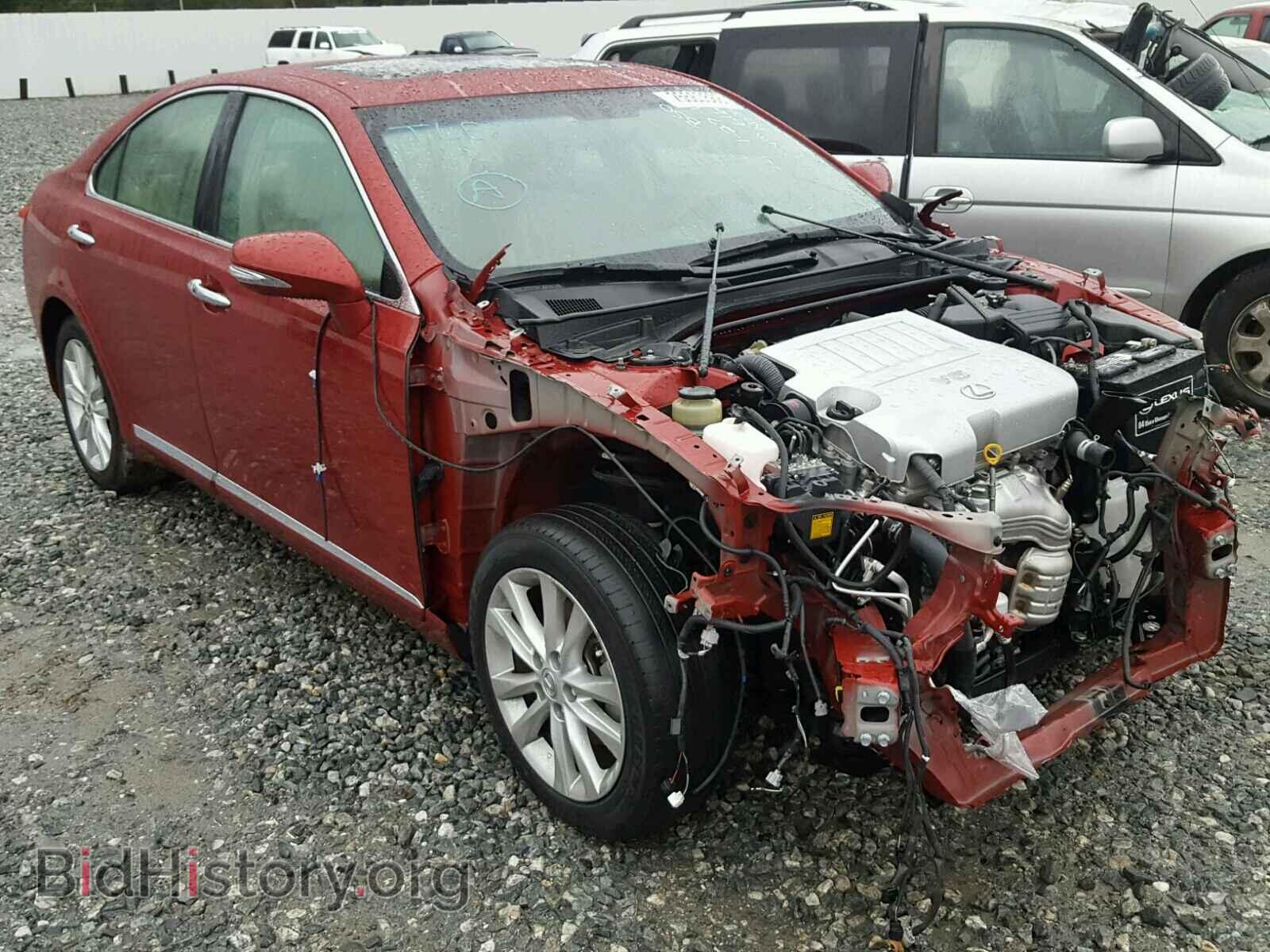 Фотография JTHBK1EG7A2376164 - LEXUS ES350 2010