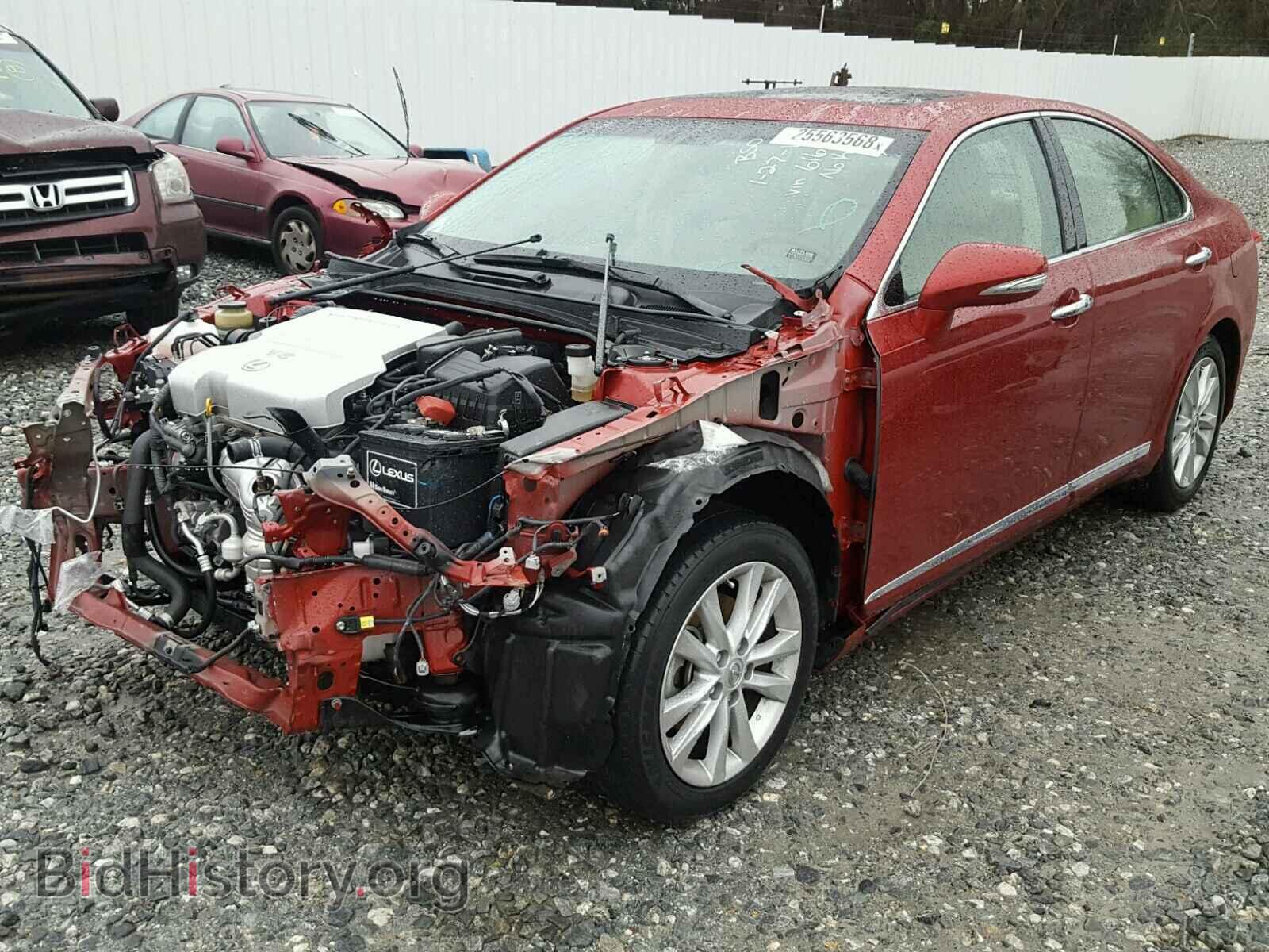 2010 LEXUS ES350 - VIN: JTHBK1EG7A2376164 - Фото 2