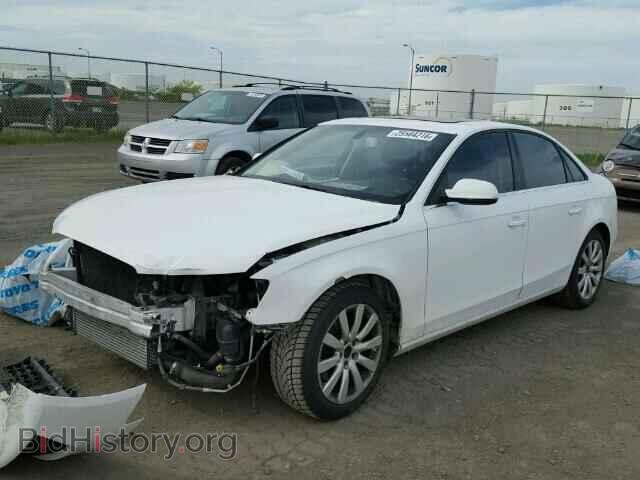 2010 AUDI A4 - VIN: WAUFFCFL3AN011636 - Фото 2