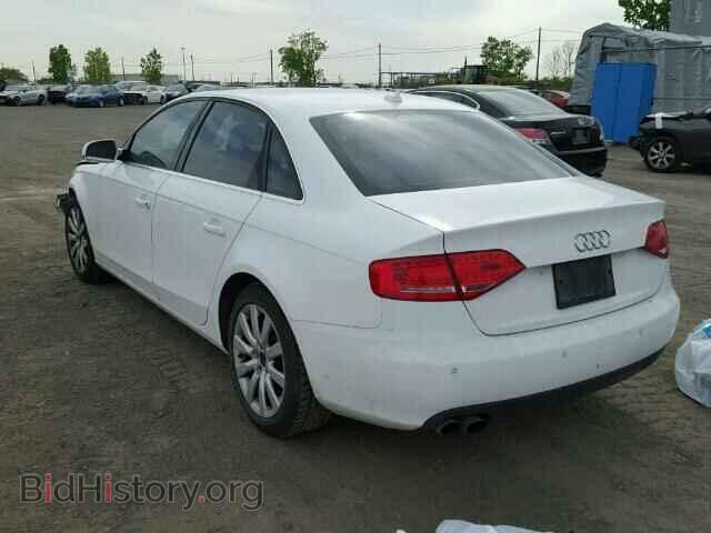 2010 AUDI A4 - VIN: WAUFFCFL3AN011636 - Фото 3