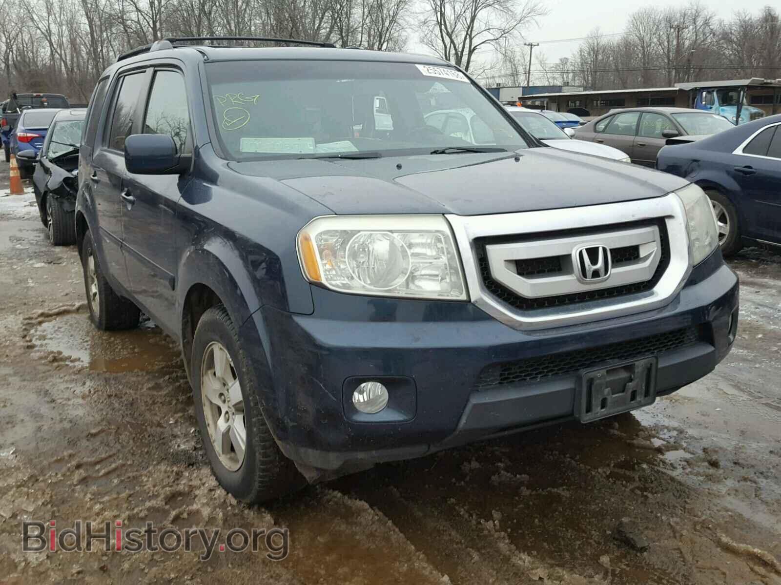 Фотография 5FNYF48589B021346 - HONDA PILOT 2009