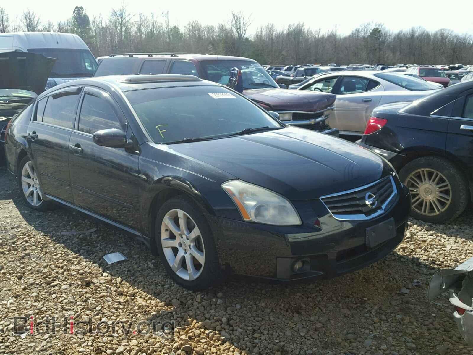 Photo 1N4BA41E38C836683 - NISSAN MAXIMA 2008