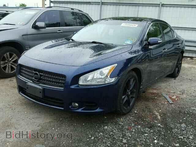 2010 NISSAN MAXIMA - VIN: 1N4AA5AP1AC833998 - Фото 2