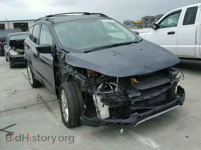 Фотография 1FMCU0GX3DUC76199 - FORD ESCAPE 2013