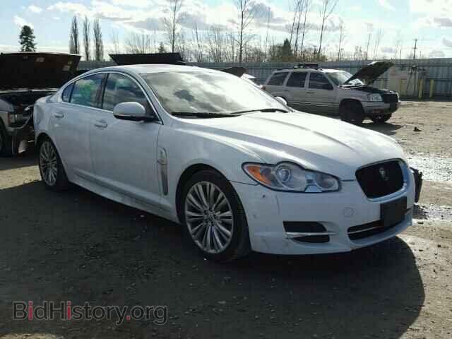 Фотография SAJWA0FB2BLS17293 - JAGUAR XF 2011