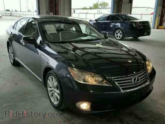 Фотография JTHBK1EG5A2344538 - LEXUS ES350 2010