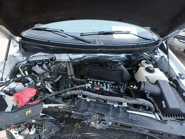 2013 FORD F150 - VIN: 1FTFW1EF7DKD17277 - Фото 7