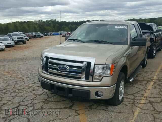 2011 FORD F150 - VIN: 1FTEX1CM9BFA45802 - Фото 2