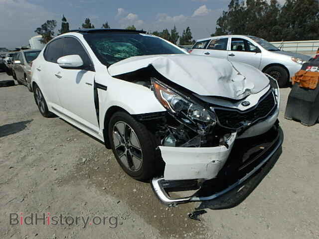 Фотография KNAGM4AD3D5052692 - KIA OPTIMA 2013
