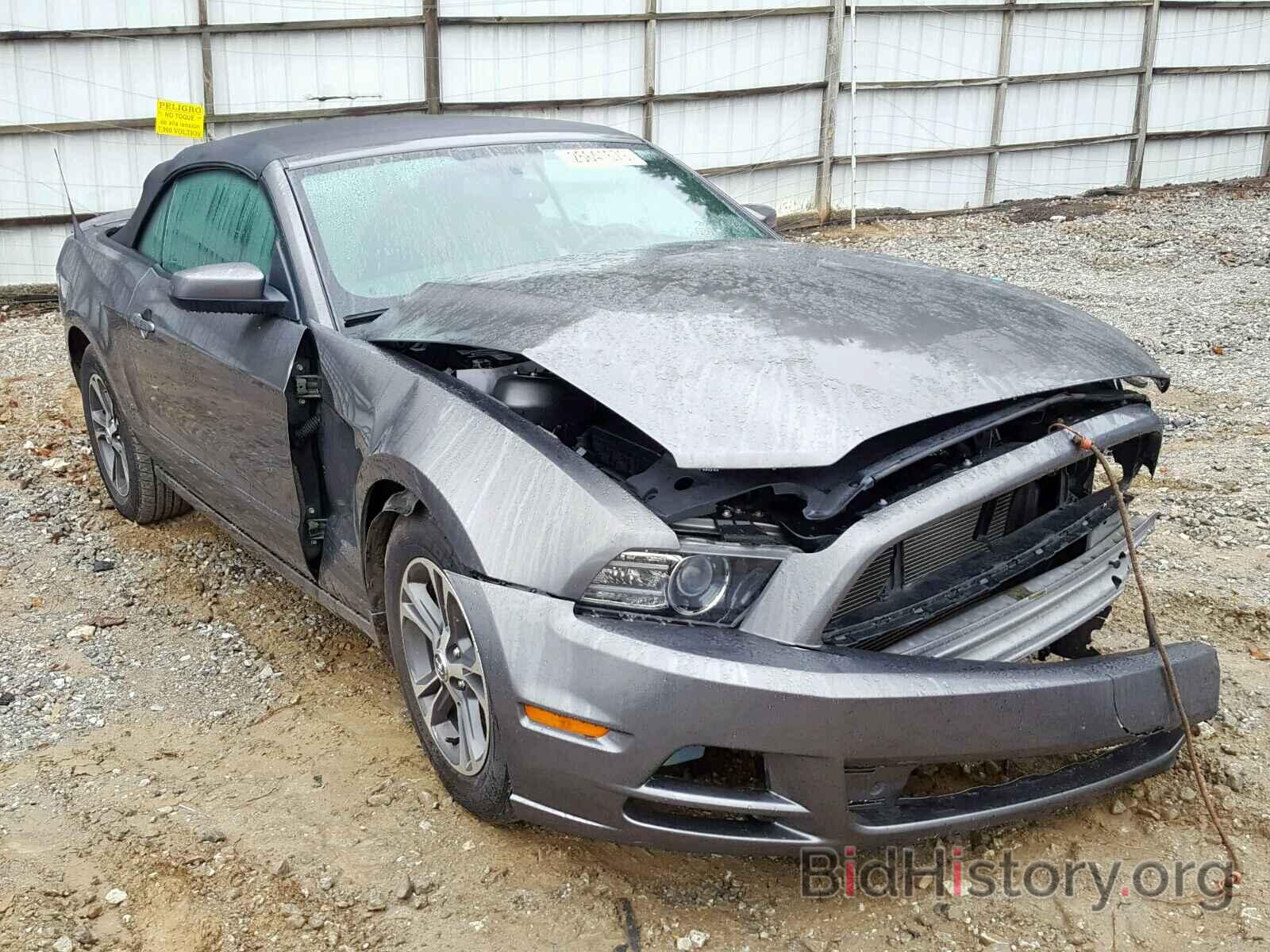 Photo 1ZVBP8EMXE5292570 - FORD MUSTANG 2014