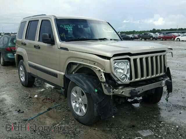 Фотография 1J4PP2GK5BW515633 - JEEP LIBERTY 2011