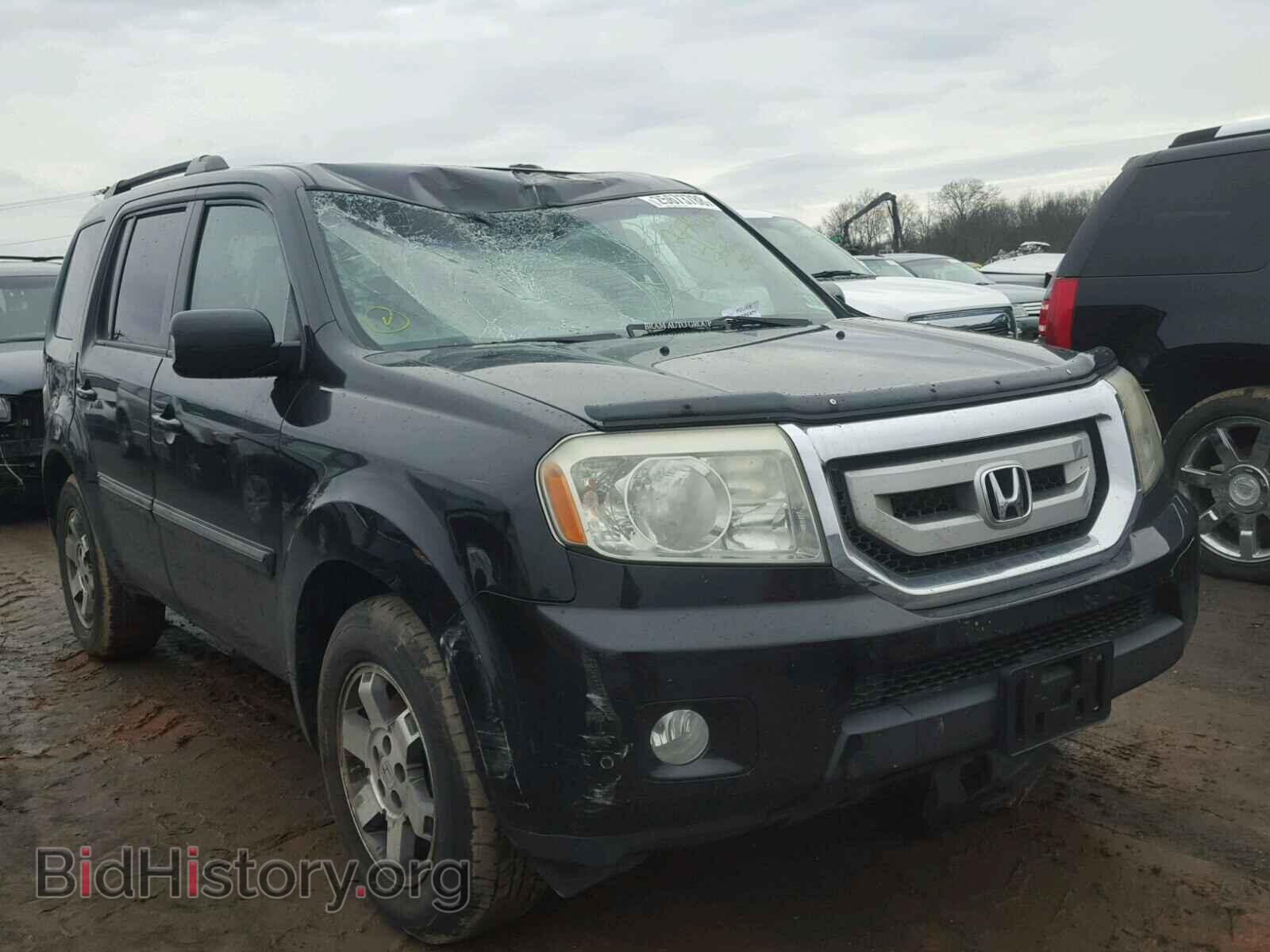 Фотография 5FNYF48919B018002 - HONDA PILOT 2009