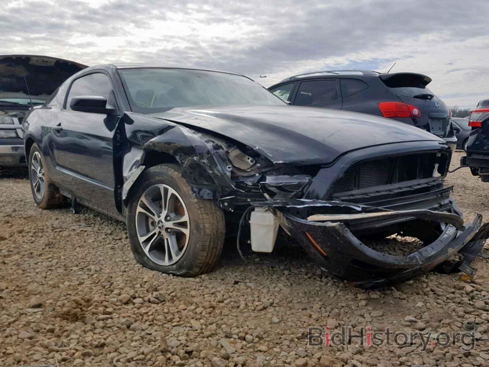 Photo 1ZVBP8AM7D5260373 - FORD MUSTANG 2013