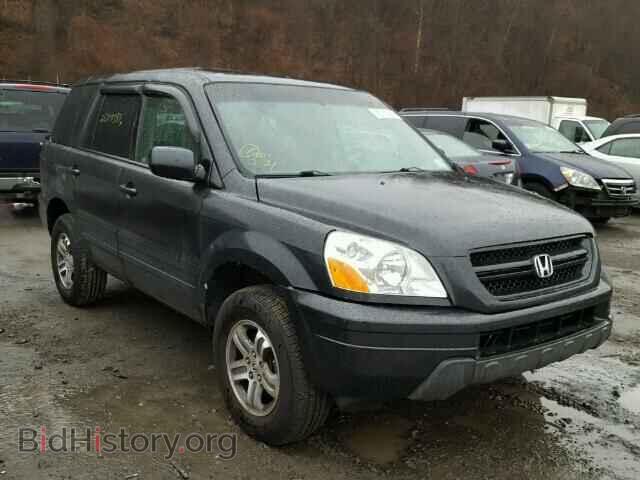 Photo 5FNYF18425B061020 - HONDA PILOT 2005
