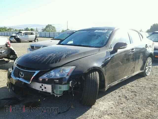 2009 LEXUS IS250 - VIN: JTHBK262595093099 - Фото 2