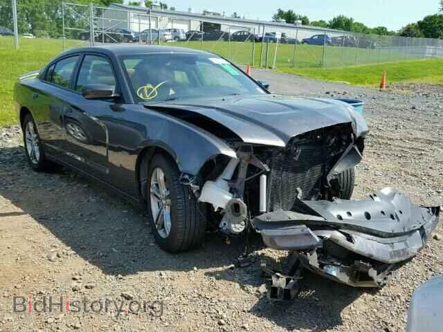 Фотография 2C3CDXDT9DH542816 - DODGE CHARGER 2013
