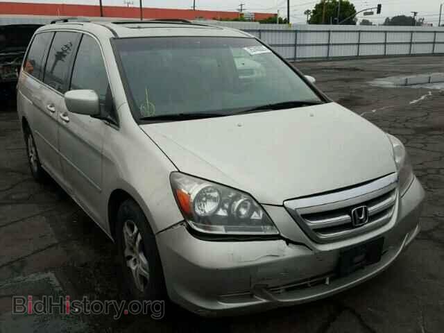 Фотография 5FNRL38655B005471 - HONDA ODYSSEY 2005