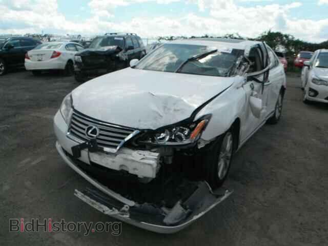 2010 LEXUS ES350 - VIN: JTHBK1EG8A2388548 - Фото 2