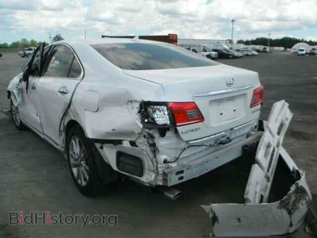 2010 LEXUS ES350 - VIN: JTHBK1EG8A2388548 - Фото 3