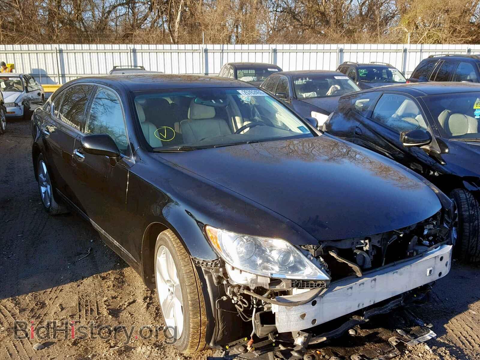 Фотография JTHGL46F085028810 - LEXUS LS460 2008