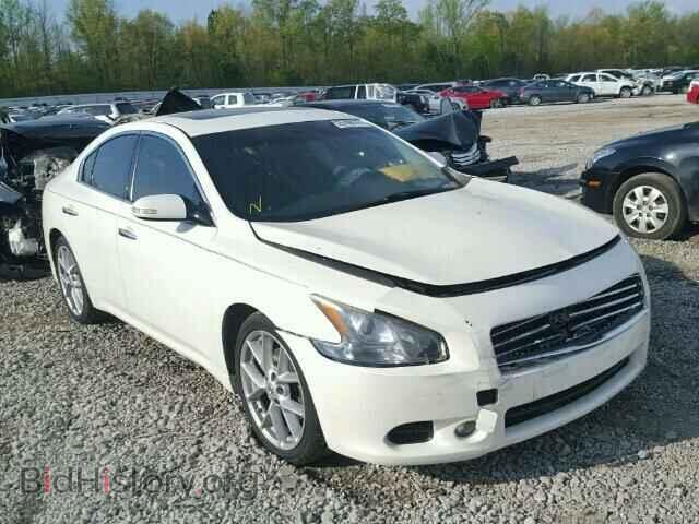 Photo 1N4AA51E29C828819 - NISSAN MAXIMA 2009