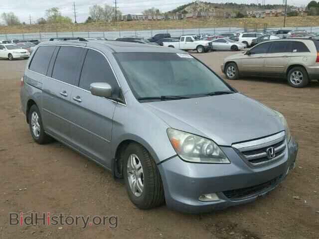 Фотография 5FNRL38865B042384 - HONDA ODYSSEY 2005
