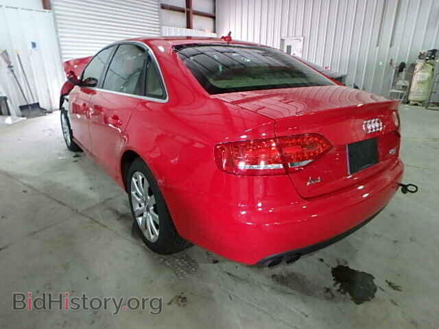 2010 AUDI A4 - VIN: WAUFFAFL7AN058799 - Фото 3