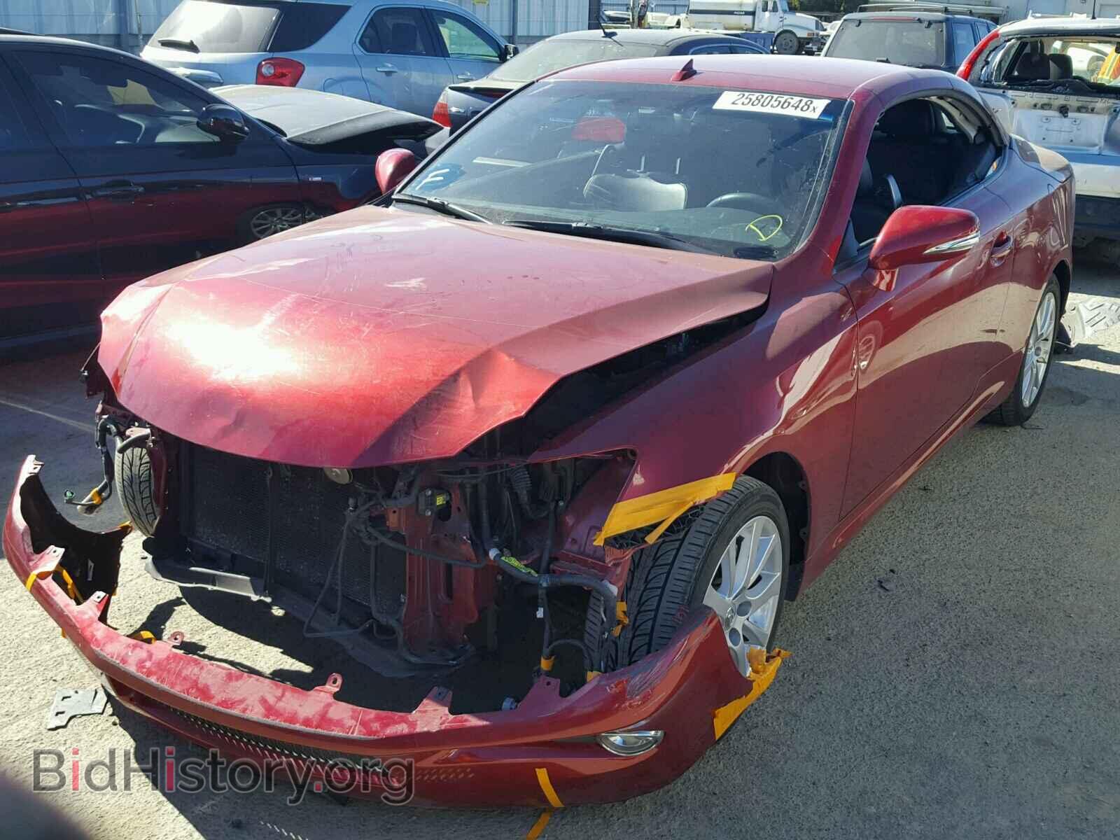 2010 LEXUS IS250 - VIN: JTHFF2C20A2506546 - Фото 2