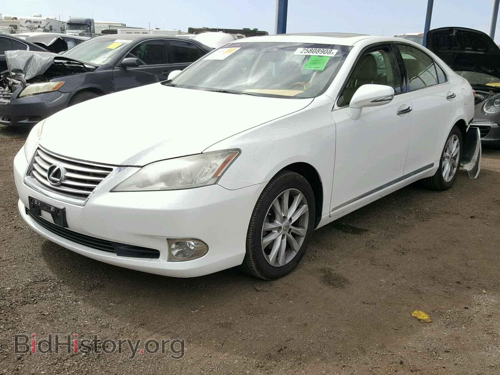 2011 LEXUS ES350 - VIN: JTHBK1EG2B2456148 - Фото 2