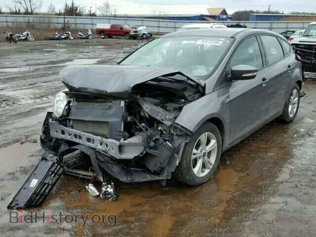 2014 FORD FOCUS - VIN: 1FADP3K21EL369989 - Фото 2