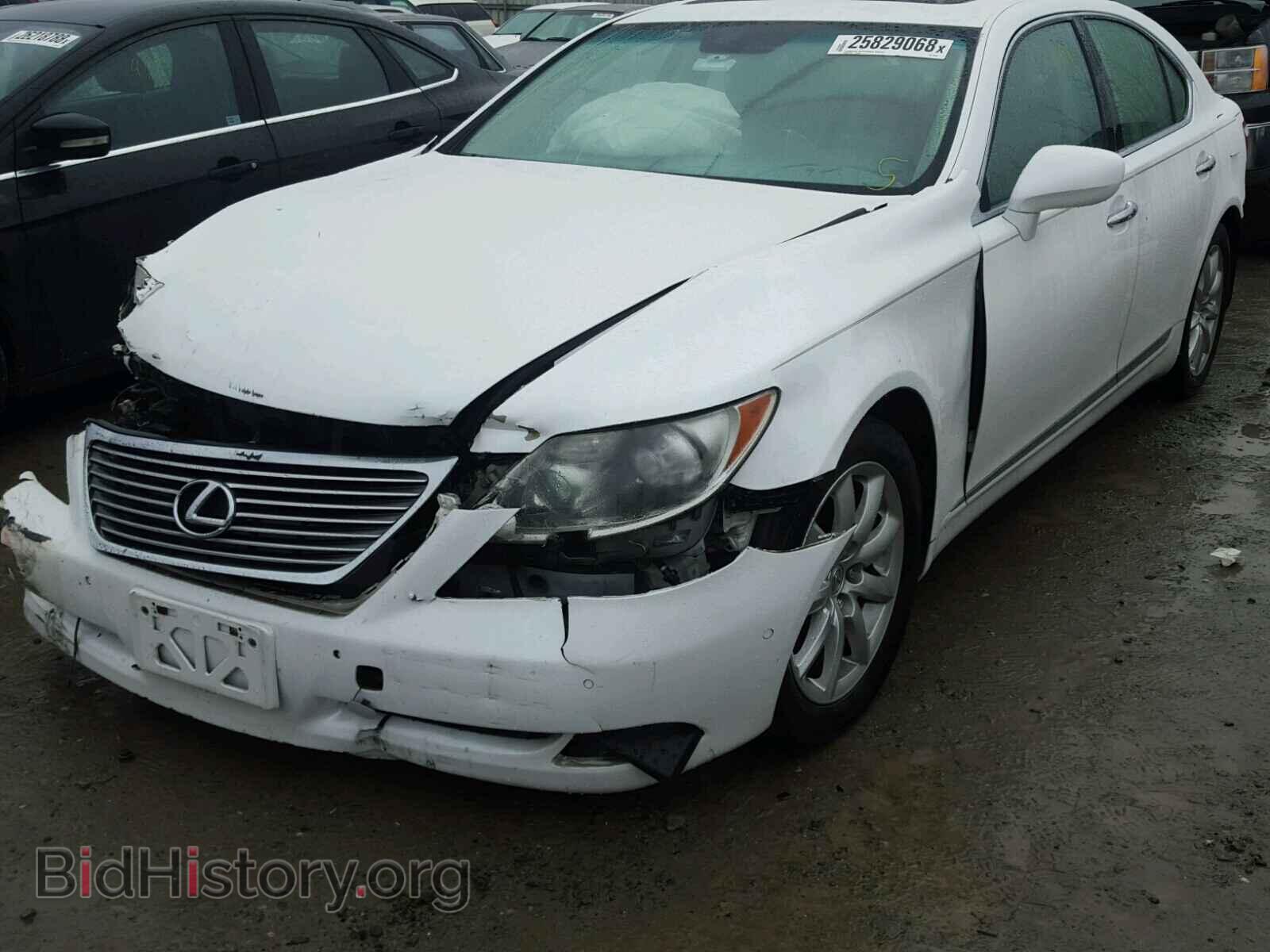 2007 LEXUS LS460 - VIN: JTHBL46F875050451 - Фото 2