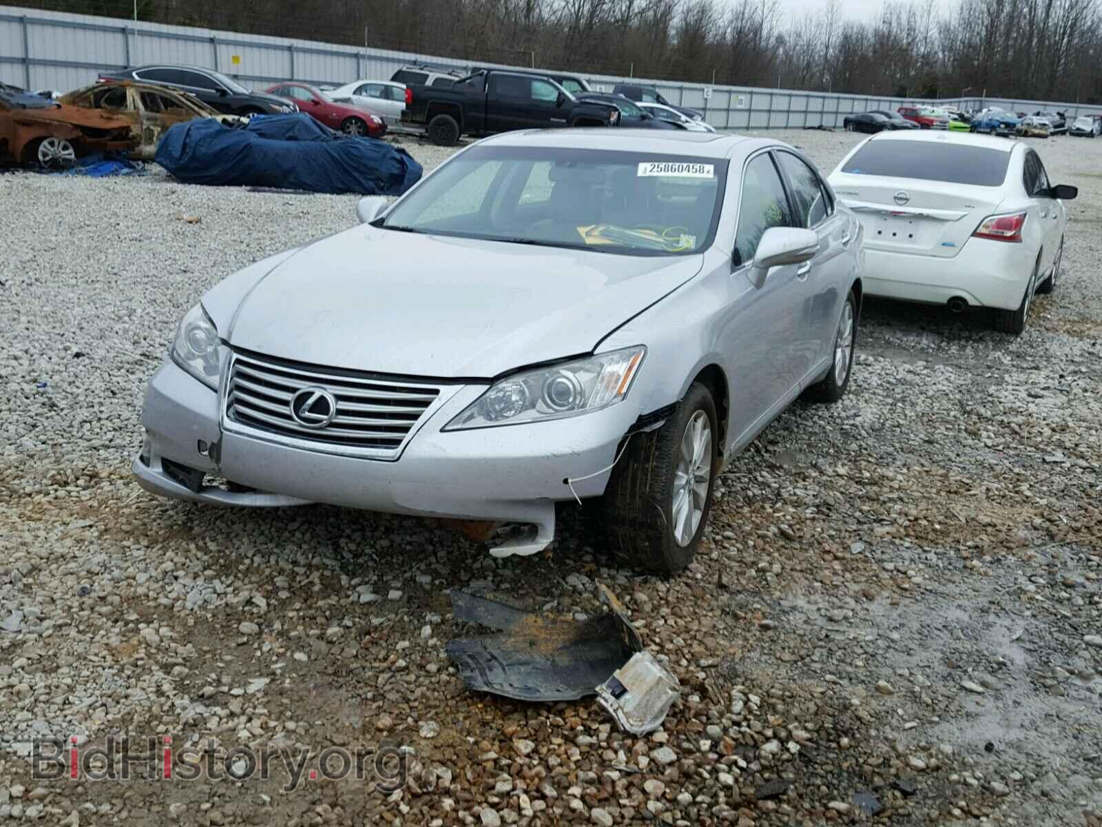 2010 LEXUS ES350 - VIN: JTHBK1EG2A2344822 - Фото 2