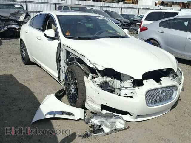Photo SAJWA07C091R33879 - JAGUAR XF 2009