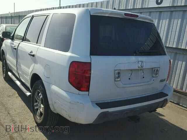 2005 HONDA PILOT - VIN: 5FNYF18545B018257 - Фото 3