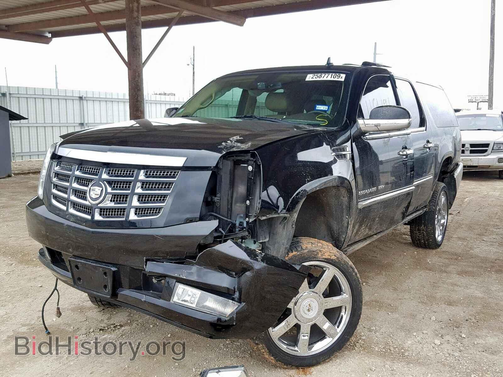 2010 CADILLAC ESCALADE E - VIN: 1GYUKJEF2AR227955 - Фото 2