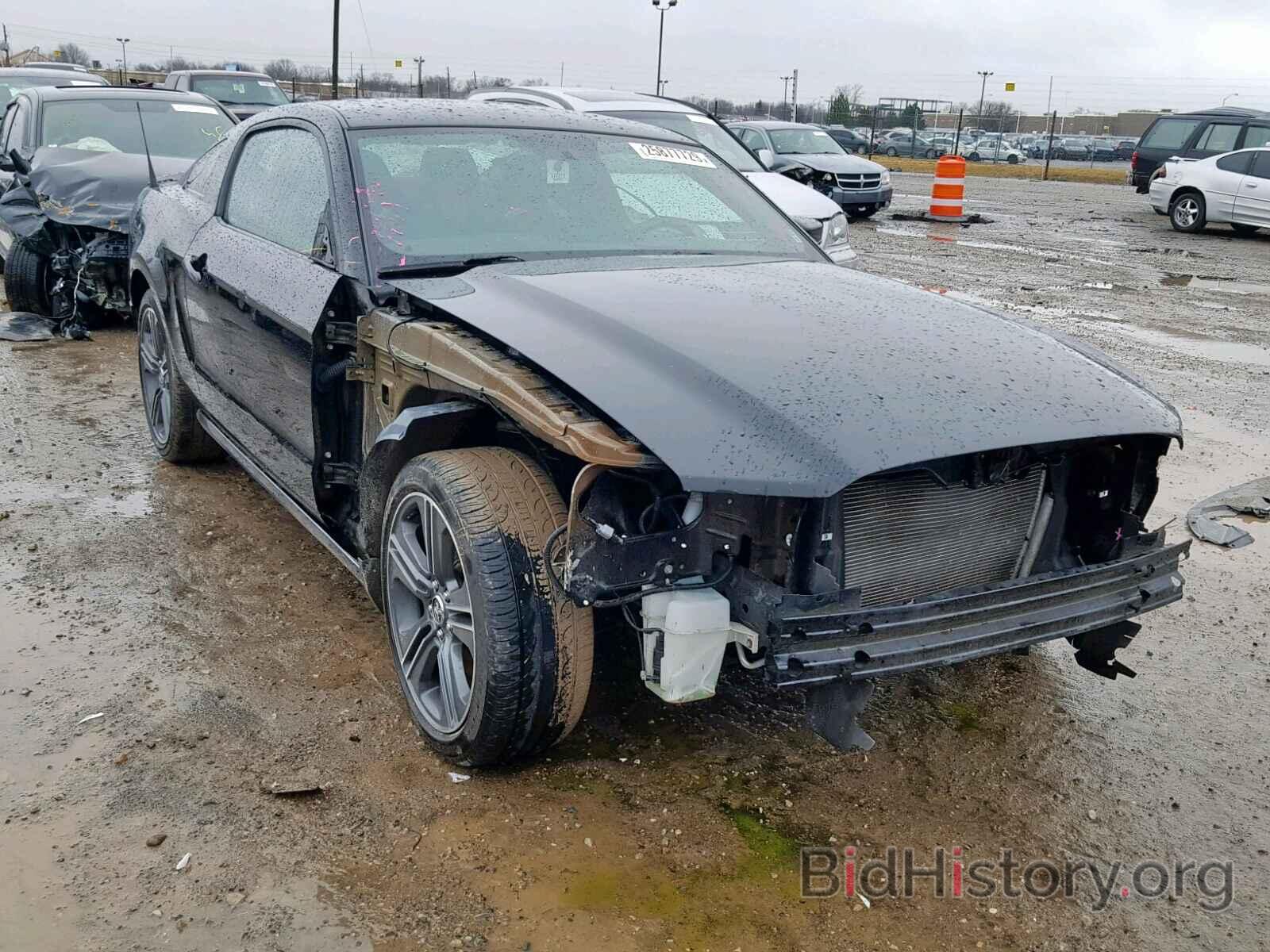 Photo 1ZVBP8AM6D5261742 - FORD MUSTANG 2013