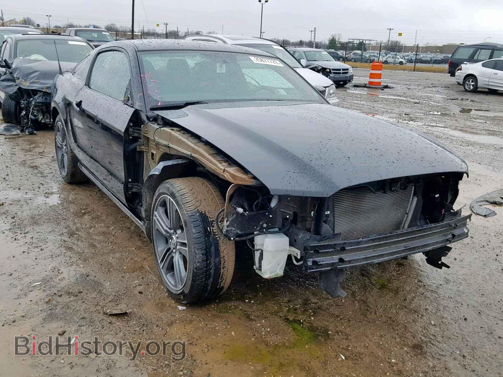 Photo 1ZVBP8AM6D5261742 - FORD MUSTANG 2013