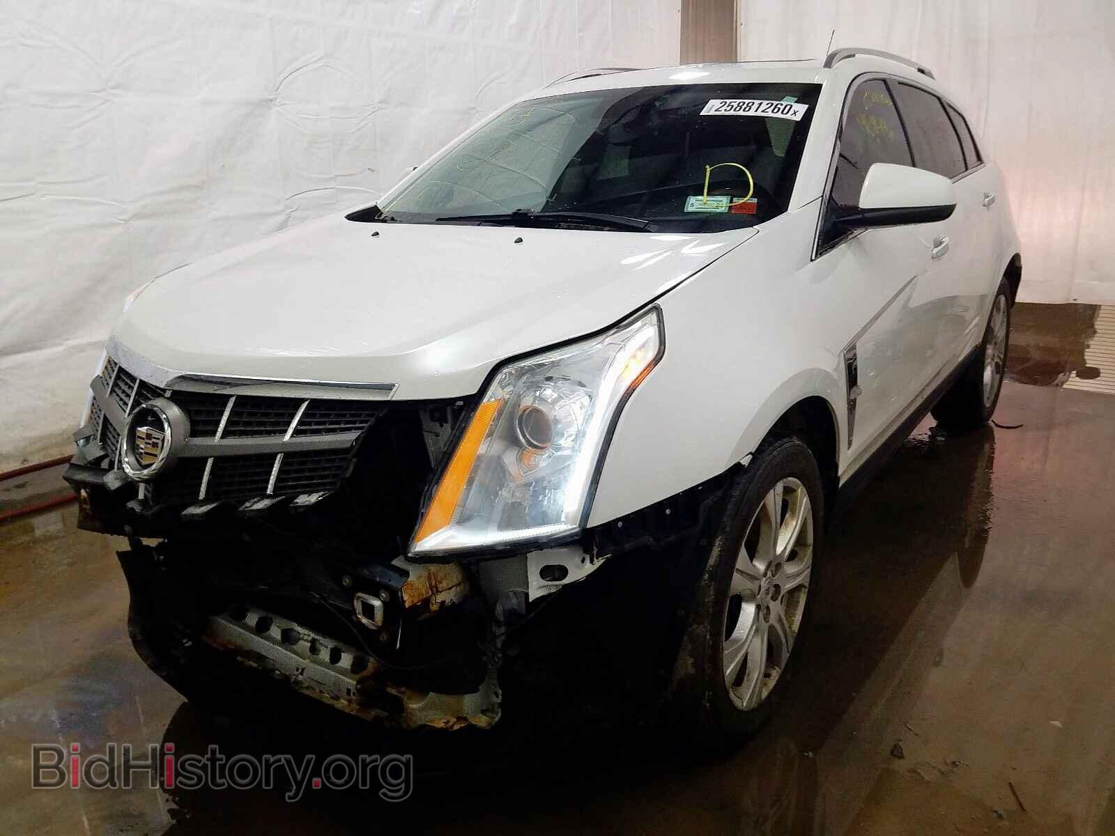 2010 CADILLAC SRX PERFOR - VIN: 3GYFNEEY7AS549707 - Фото 2
