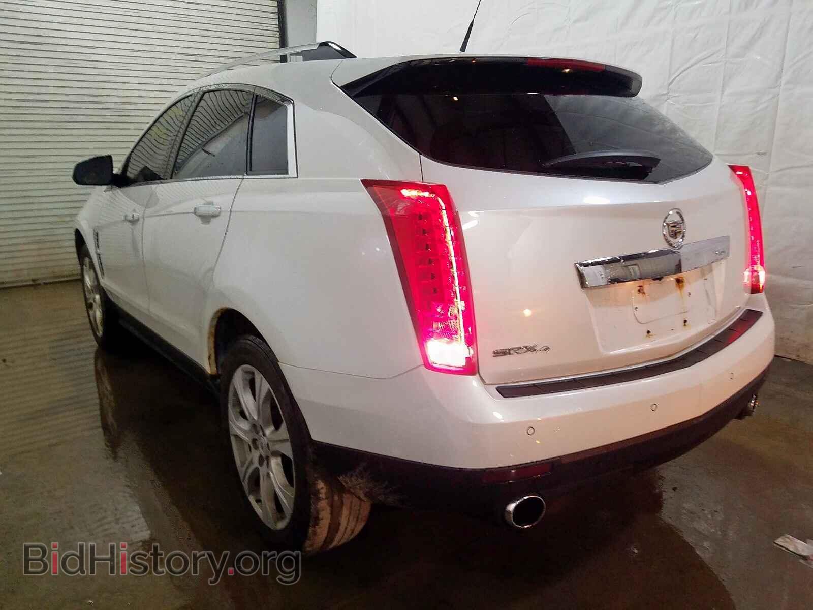 2010 CADILLAC SRX PERFOR - VIN: 3GYFNEEY7AS549707 - Фото 3