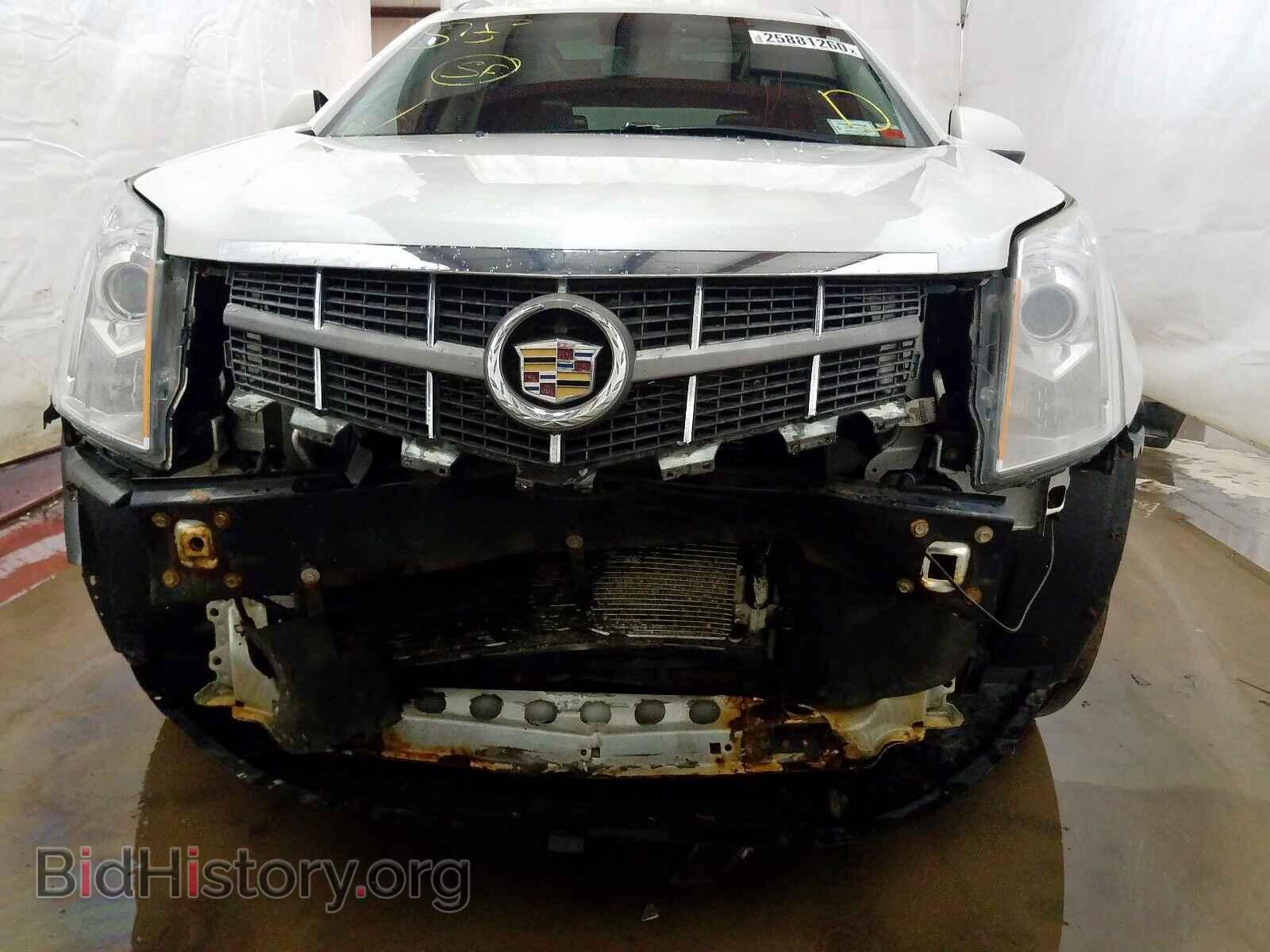 2010 CADILLAC SRX PERFOR - VIN: 3GYFNEEY7AS549707 - Фото 9