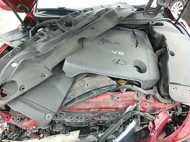 2008 LEXUS IS250 - VIN: JTHBK262X82079828 - Фото 7