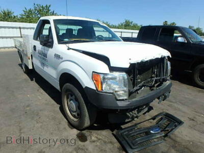 2013 Ford F150, white — VIN 1FTMF1CM9DKF79794, Copart