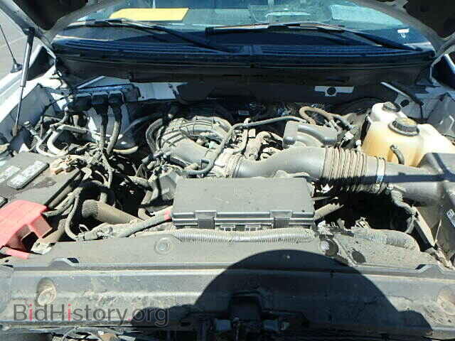 2013 FORD F150 - VIN: 1FTMF1CM9DKF79794 - Фото 7