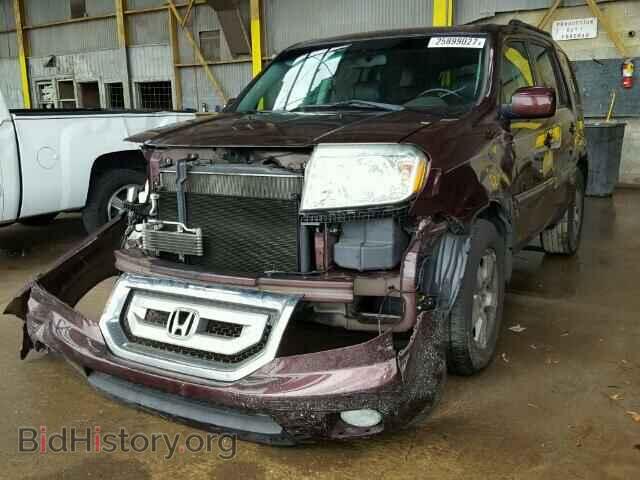 2010 HONDA PILOT - VIN: 5FNYF3H61AB019767 - Фото 2