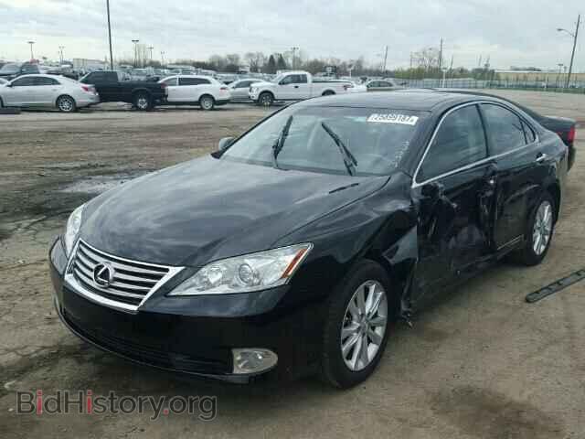 2010 LEXUS ES350 - VIN: JTHBK1EG9A2371399 - Фото 2